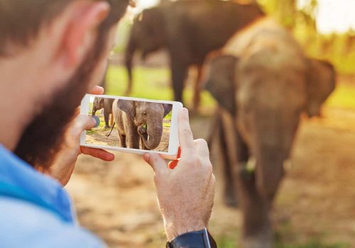 Good vs Bad Video Quality: How to Spot the Difference